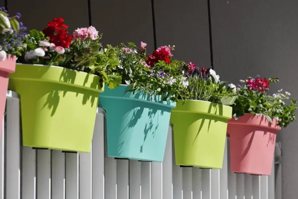 Best Plants for Balcony (Low Maintenance) - A Deep Insight!